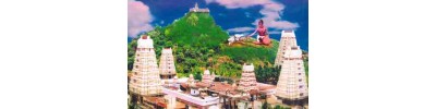 264. திருக்கழுக்குன்றம்
